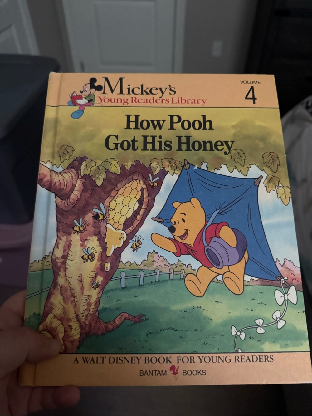 Vintage Disney How Pooh Got His Honey - Kids Book